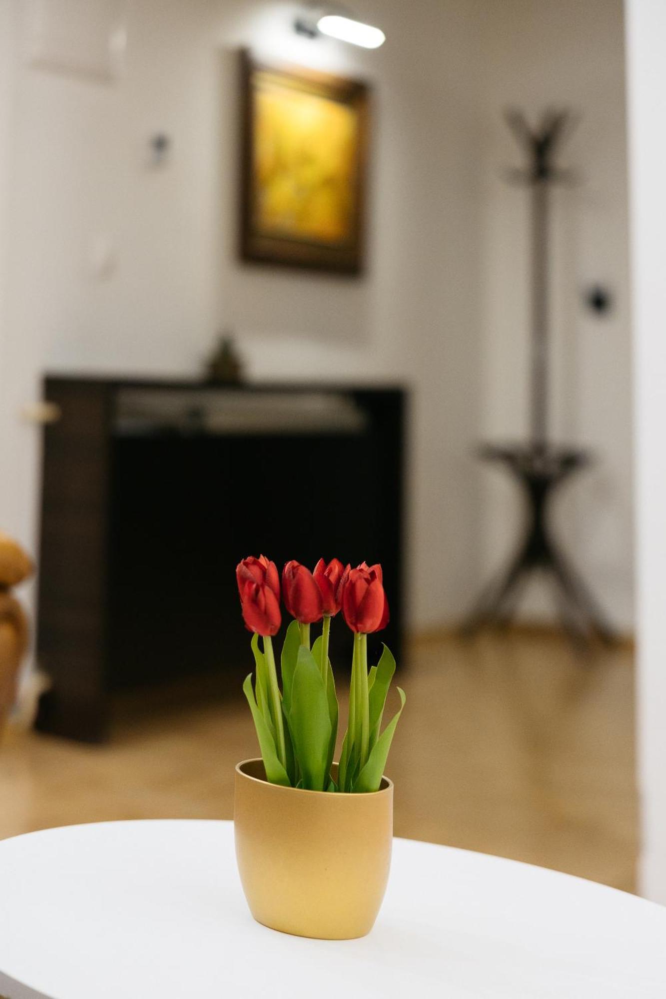 Hotel Gradche Kočani Ngoại thất bức ảnh